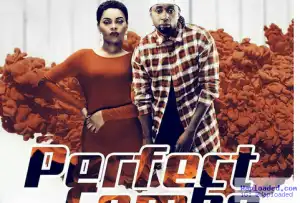 Joh Makini - Perfect Combo (ft. Chidinma)